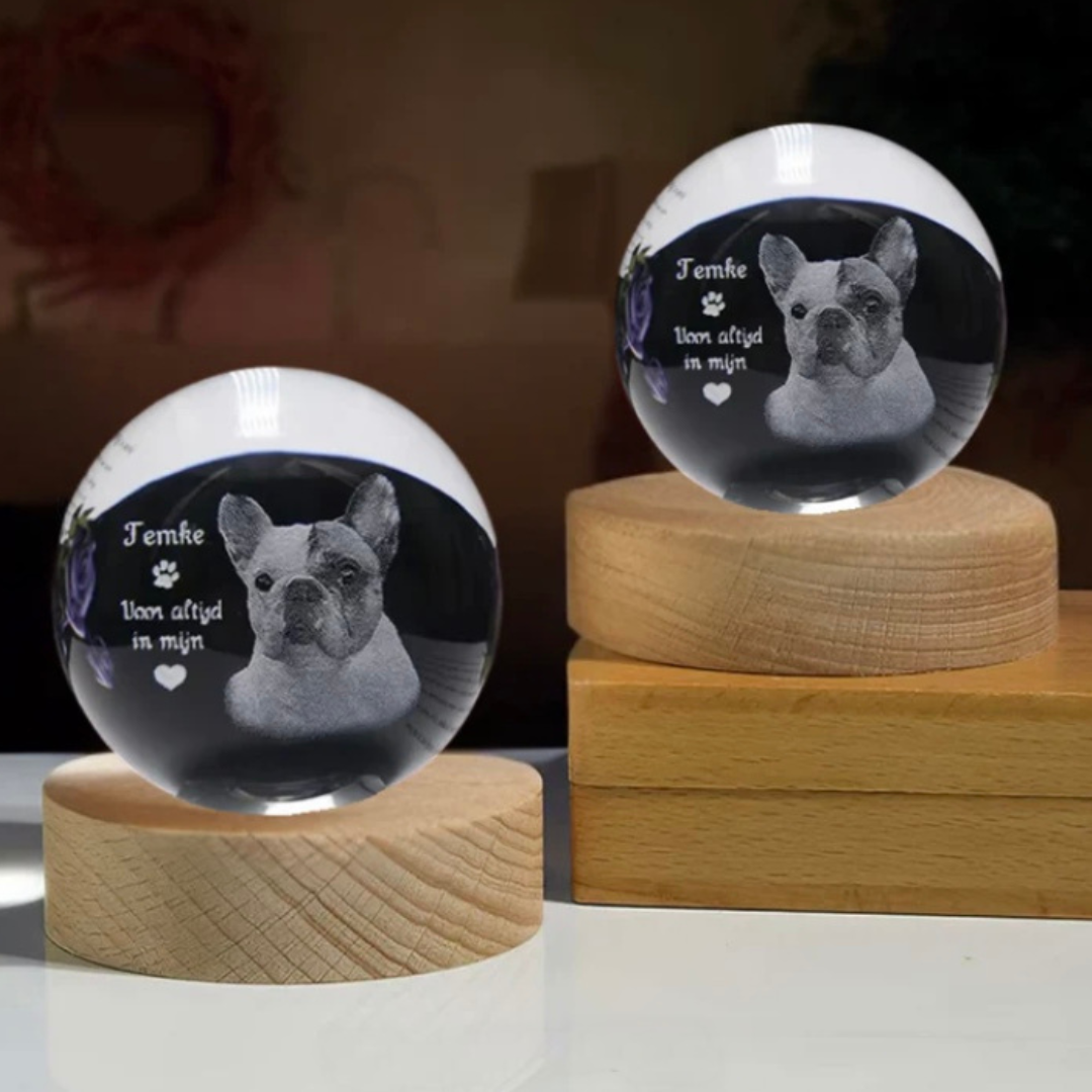 Esfera 3D personalizada con tu foto